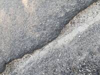 (immagine di L. Mengoli)