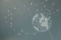 opera realizzata per la mostra e utilizzata per il manifesto : sfondo grigio con soffioni in primo piano