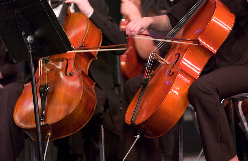 strumenti ad arco strumenti ad arco
