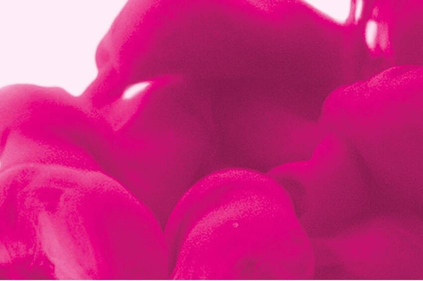 bolle rosa