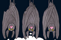 Dei pipistrelli disegnati