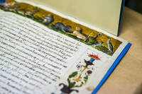 BCR Foto Stefania Pocchi 2014