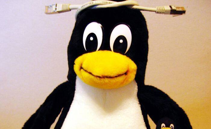 pinguino icona Linux