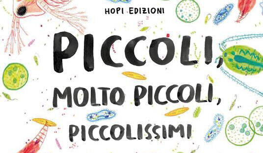 Dettaglio della copertina del libro