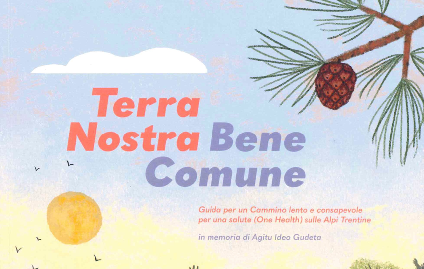 dettaglio della copertina