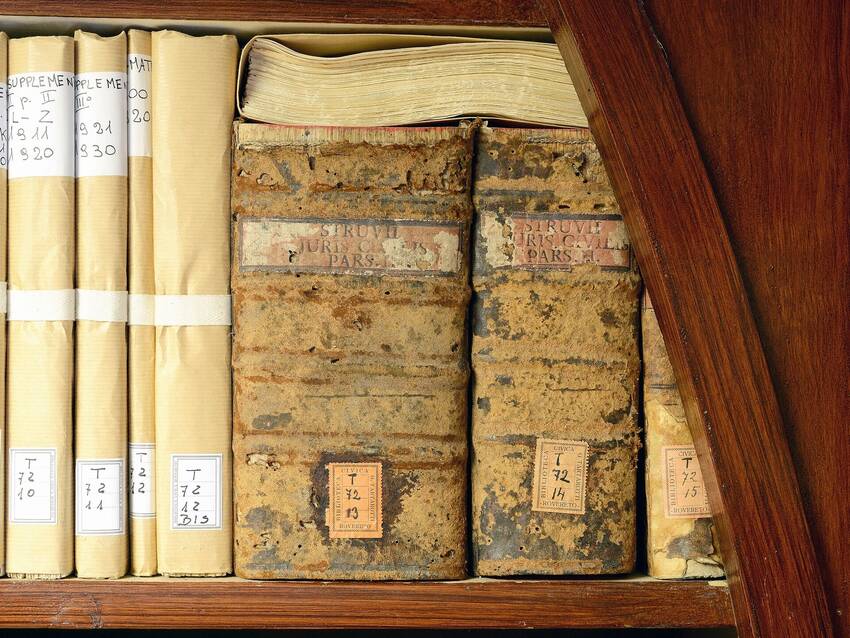 particolari di dorsi di libri antichi (Foto Florio Badocchi 2014)