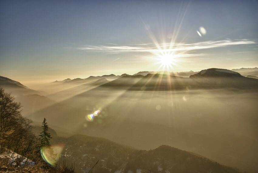 sole