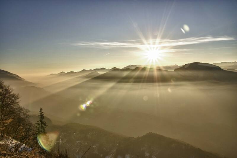 sole