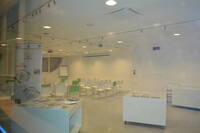 Immagine decorativa