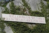 Immagine decorativa
