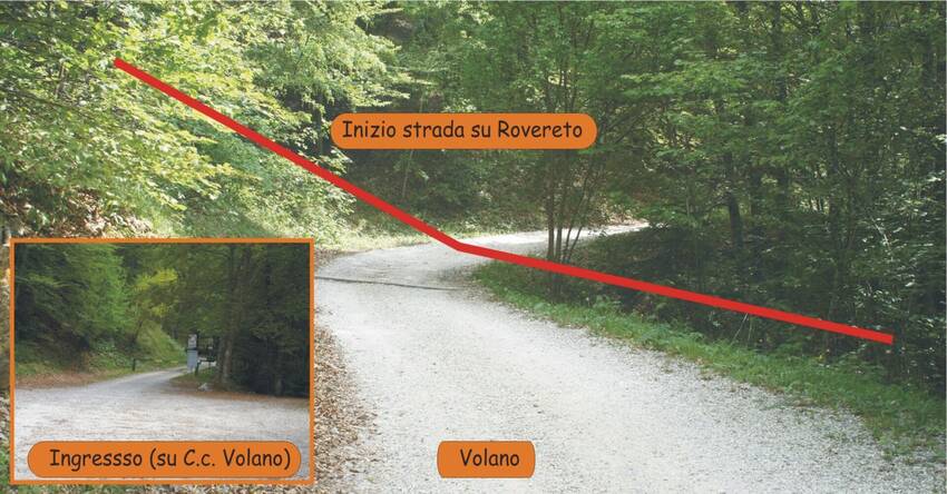 Inizio strada forestale Malga Finonchio 1^ 