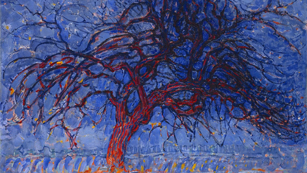 Immagine decorativa