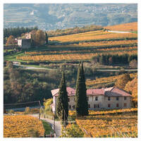 foto Francesco Pernigo