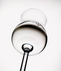 Trentino Grappa (Fototeca Trentino Sviluppo S.p.A.- foto di Carlo Baroni)