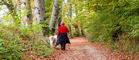 Donna con cane che passeggia nel Bosco della città di Rovereto (foto F. Pernigo) Donna con cane che passeggia nel Bosco della città di Rovereto (foto F. Pernigo)